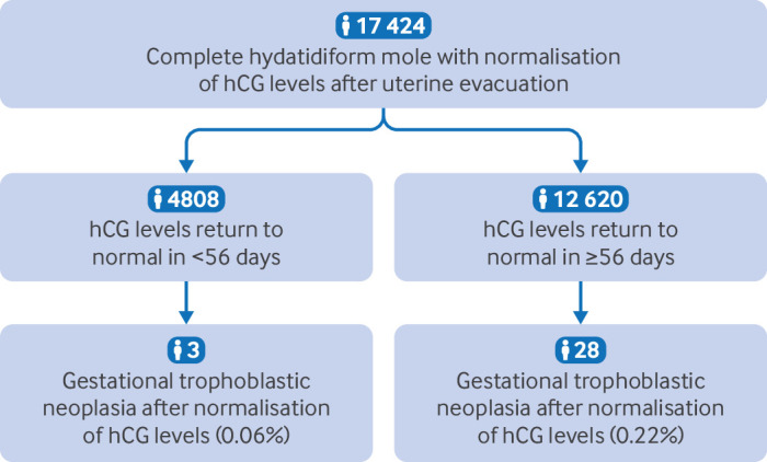 Monitoring complete hydatidiform molar pregnancies after normalisation of human chorionic gonadotrophin: national retrospective population study.
