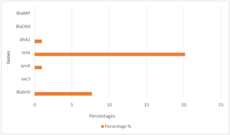 The evaluation of antimicrobial resistance rates in infections caused by uropathogenic <i>Escherichia coli</i> strains collected from the south of Lebanon.