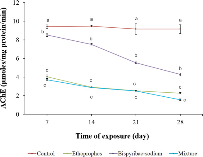 Single and joint toxicity of ethoprophos and bispyribac-sodium to Oreochromis niloticus: biochemical and genotoxic responses.