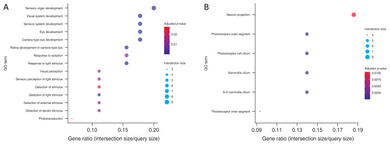 Neuroprotective Mechanisms of Ciliary Neurotrophic Factor in Retinal Ganglion Cells: Insights from Microarray Analysis.