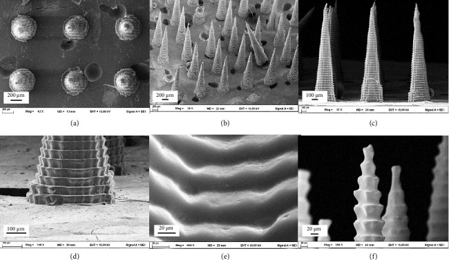 Development of Clindamycin-Loaded Microneedles for the Treatment of Nodular Acne: A Novel Therapeutic Approach.