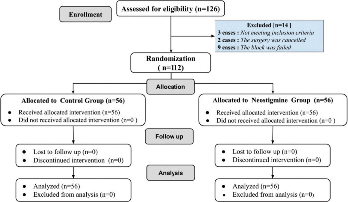 Postoperative analgesic effect of adding neostigmine to levobupivacaine in ultrasound-guided spermatic cord block for testicular sperm extraction surgery.