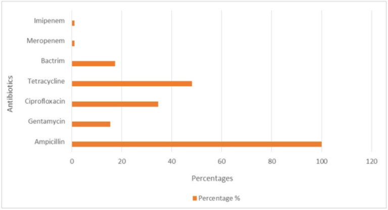 The evaluation of antimicrobial resistance rates in infections caused by uropathogenic <i>Escherichia coli</i> strains collected from the south of Lebanon.