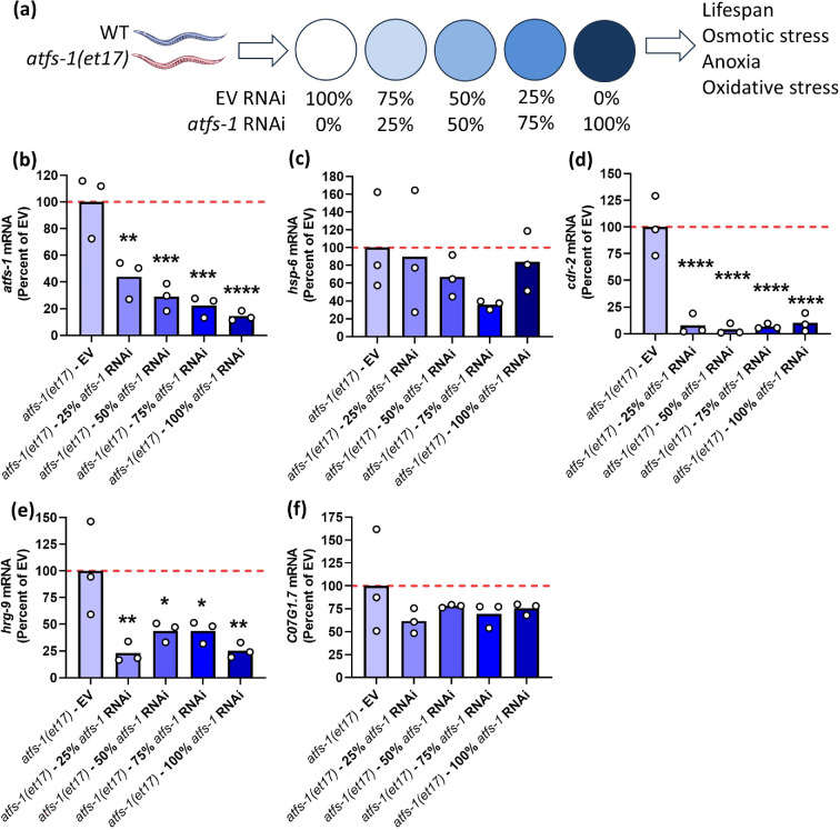 Mild activation of the mitochondrial unfolded protein response increases lifespan without increasing resistance to stress.