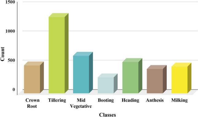 Novel hybrid transfer neural network for wheat crop growth stages recognition using field images.