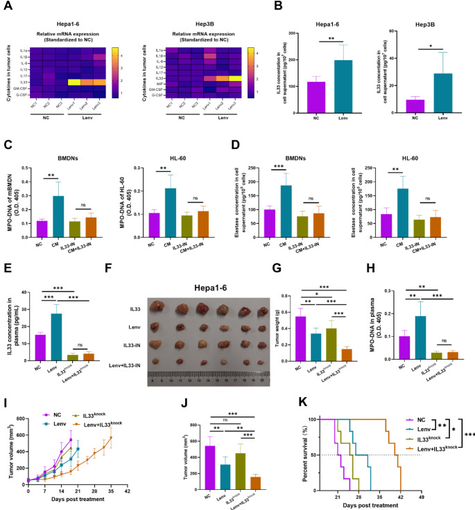 Lenvatinib-activated NDUFA4L2/IL33/PADI4 pathway induces neutrophil extracellular traps that inhibit cuproptosis in hepatocellular carcinoma.