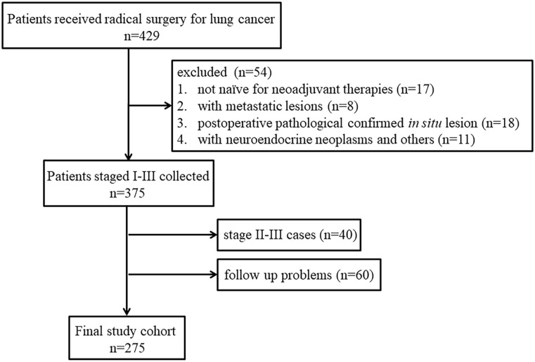 Prognostic Value of Tertiary Lymphoid Structures in Stage I Nonsmall Cell Lung Cancer: Does Location Matter?