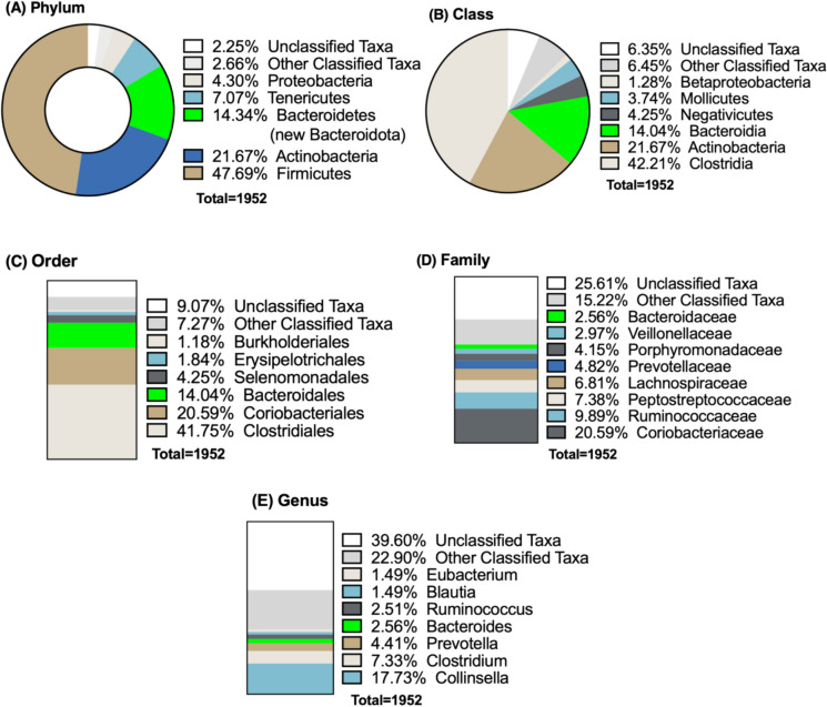 Exploring the Probiotic Potential of Bacteroides spp. Within One Health Paradigm.