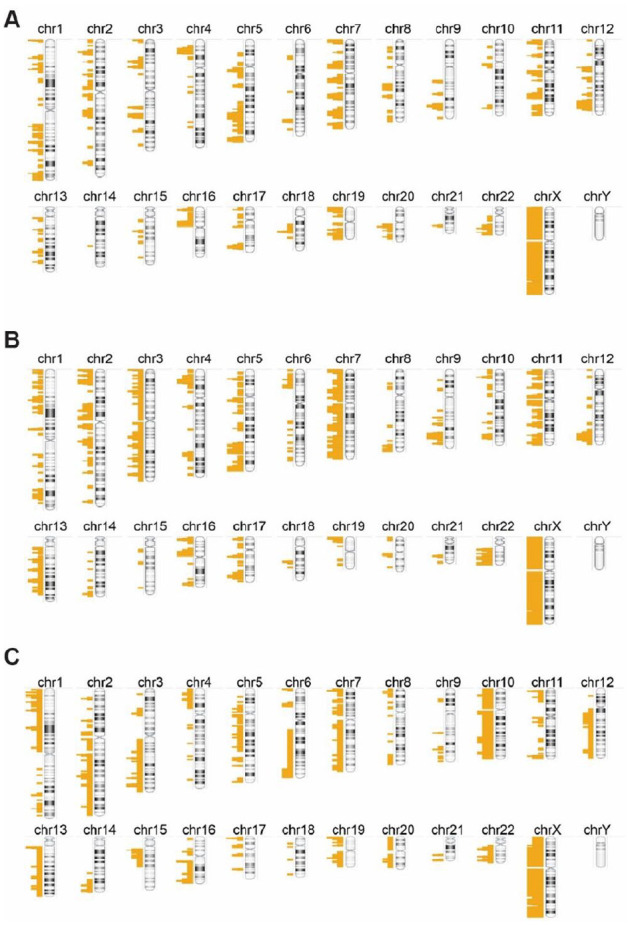 A Comparative Study on Copy Number Variation in Subtypes of Breast Phyllodes Tumors.