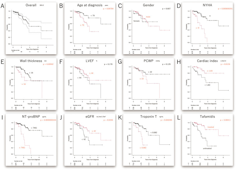 Real-World Clinical Impact of Tafamidis on Transthyretin Amyloid Cardiomyopathy　- A Decade of Experience From a Community-Based Hospital (2015-2024).