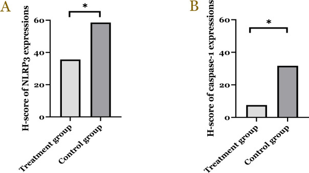 Effect of the modified Atkins diet on NLRP3, caspase-1, IL-ιβ, and IL-10 in patients with tetralogy of Fallot undergoing open-heart surgery: A randomized controlled trial.