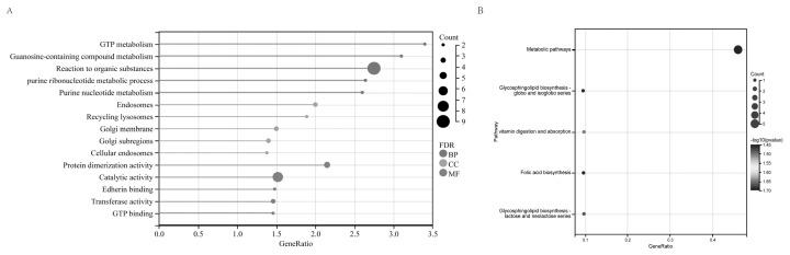Transcriptome analysis of liver and ileum reveals potential regulation of long non-coding RNA in pigs with divergent feed efficiency.
