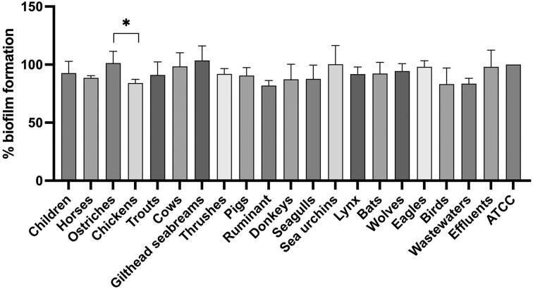 Comparative analysis of antibiotic resistance and biofilm formation in <i>Enterococcus</i> spp. across One Health domains.