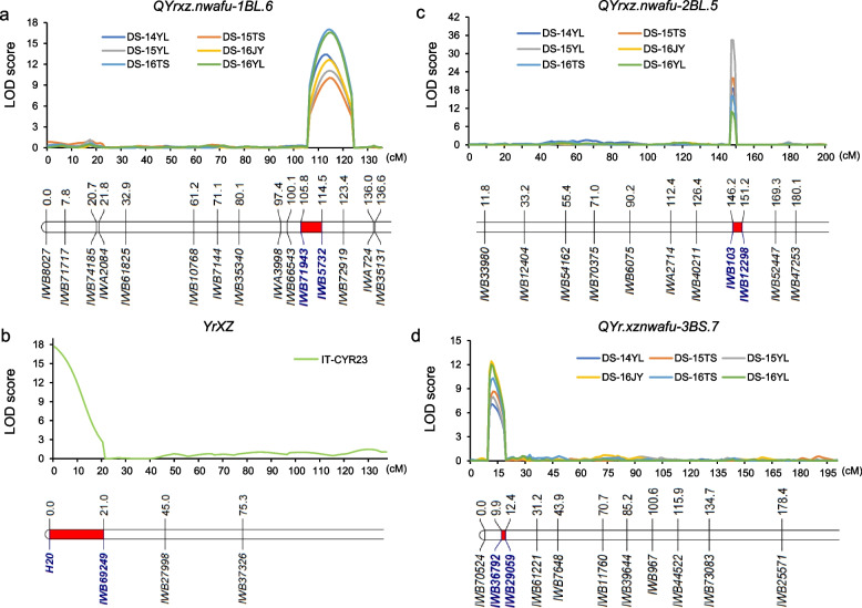 Rapid isolation of Yr9 via MutIsoSeq and QTL analysis of durable stripe rust resistance in wheat cultivar Xingzi 9104.