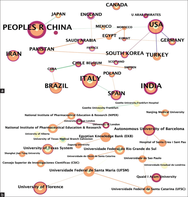 The role of antioxidant therapy in modulating neuropathic pain: A systematic review of mechanistic insights and research trends (2003-2024).