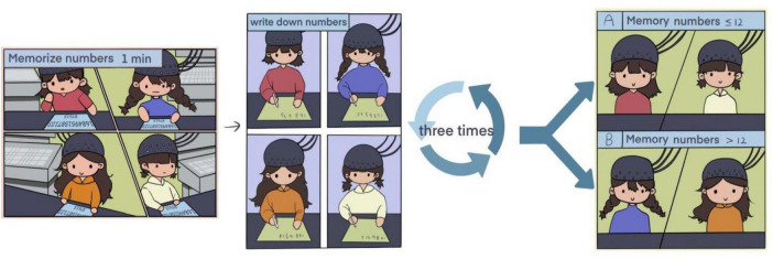 Short-term memory retrieval enhances brain functional connectivity.