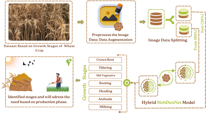 Novel hybrid transfer neural network for wheat crop growth stages recognition using field images.