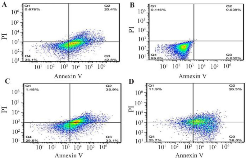 Investigation of Anti-Cancerous Effects of <i>L. casei</i> -ATCC-393 and <i>L. rhamnosus</i>-GG on Apoptosis and Cell Cycle of B- CPAP Thyroid Cancer Cell line in Comparison to Fibroblast Cell Line.