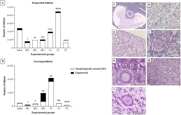 Evaluation of Different Cryoprotectant Combinations in Vitrification and Slow Freezing for Ovarian Tissue Preservation in Domestic Cats.