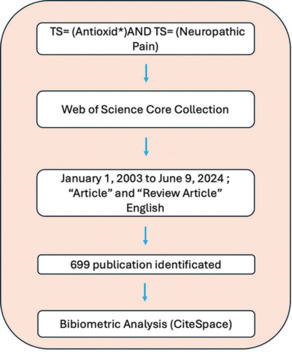 The role of antioxidant therapy in modulating neuropathic pain: A systematic review of mechanistic insights and research trends (2003-2024).