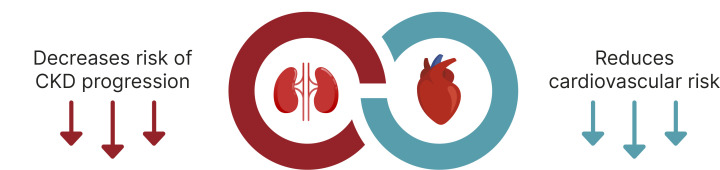 Section 11: Chronic Kidney Disease and Risk Management.