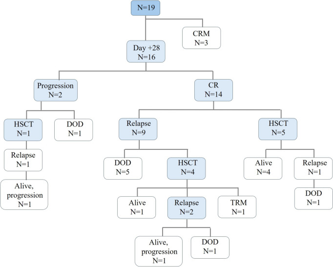 Siltuximab for the treatment of early complications after chimeric antigen receptor T-cell therapy for acute lymphoblastic leukemia in children, adolescents, and young adults.