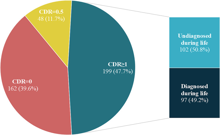 Sociodemographic and clinical profile from the Brazilian very old 90+ study (BRAVO-90+).