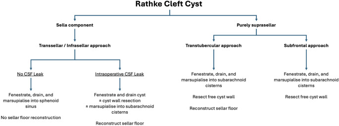 Impact of sella floor reconstruction on Rathke Cleft Cyst recurrence: a systematic review and meta-analysis.