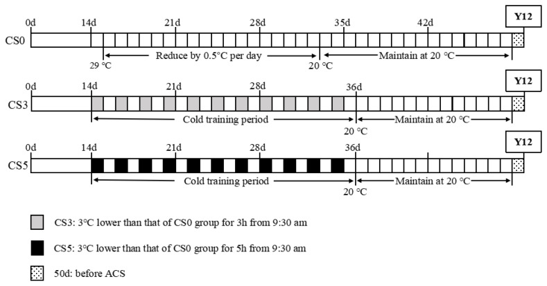 Intermittent cold stimulation acclimates broilers to acute cold stress by affecting cardiac lipid metabolism.