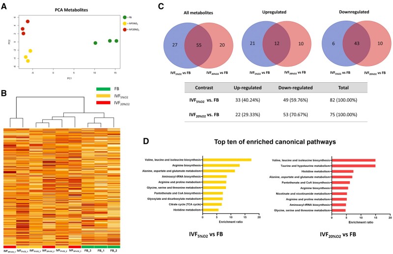 Proteomic and metabolomic insights into oxidative stress response activation in mouse embryos generated by <i>in vitro</i> fertilization.