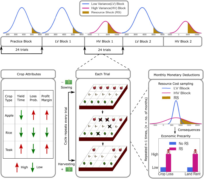 Present-Focused Behavior as a Rational Adaptation to Precarity.