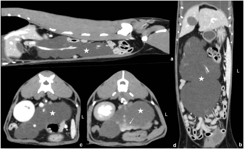 Mesenteric lymphatic malformation with chylothorax in a cat.