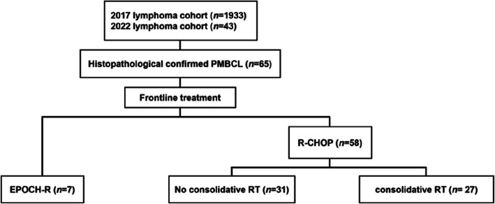 Real-world data analysis of survival outcomes of patients with primary mediastinal large B-cell lymphoma treated with immunochemotherapy: the role of consolidative radiation therapy.