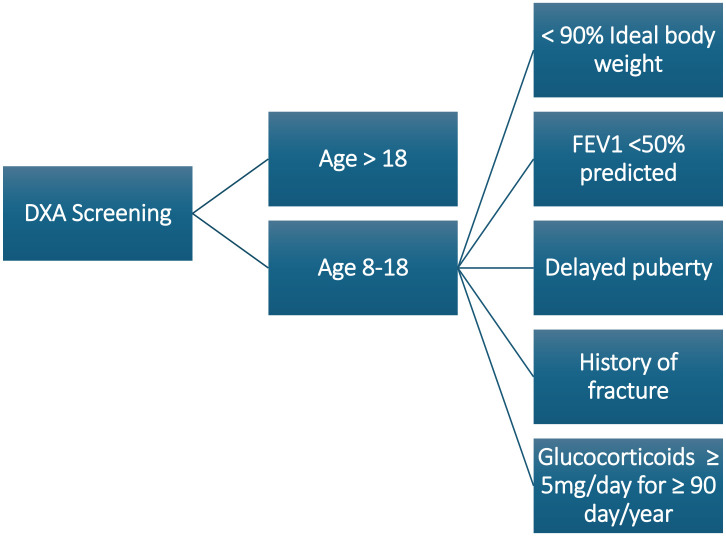 Cystic fibrosis-related bone disease: an update on screening, diagnosis, and treatment.