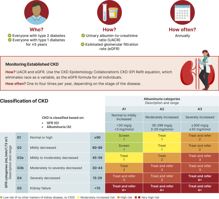 Section 11: Chronic Kidney Disease and Risk Management.
