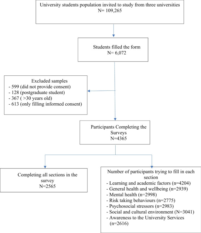 The health and wellbeing of undergraduate students in Indonesia: descriptive results of a survey in three public universities.