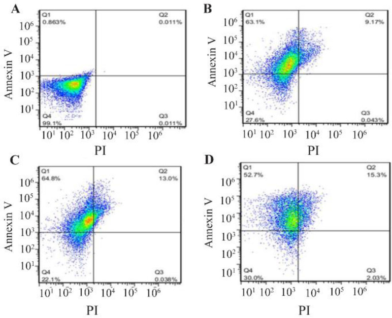Investigation of Anti-Cancerous Effects of <i>L. casei</i> -ATCC-393 and <i>L. rhamnosus</i>-GG on Apoptosis and Cell Cycle of B- CPAP Thyroid Cancer Cell line in Comparison to Fibroblast Cell Line.