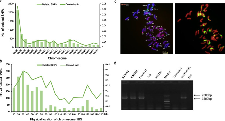 Rapid isolation of Yr9 via MutIsoSeq and QTL analysis of durable stripe rust resistance in wheat cultivar Xingzi 9104.