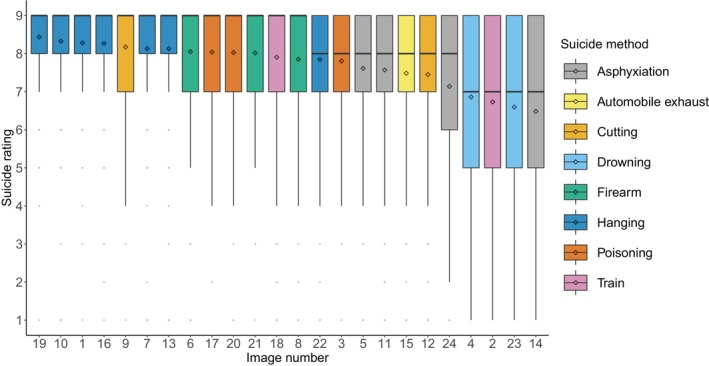 Examining the Construct Validity of Experimental Suicide Images Among Young Adults.