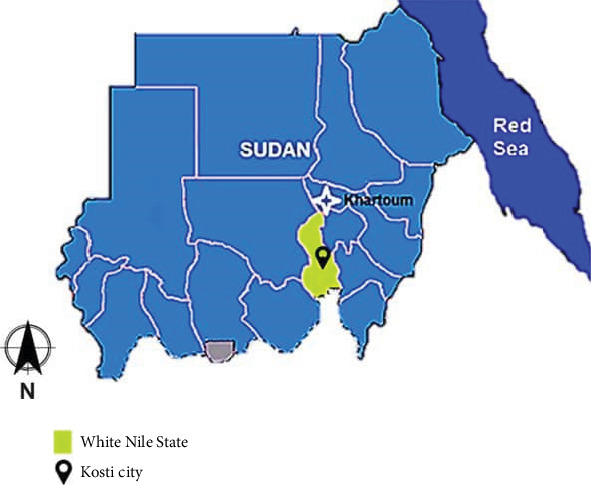 Intestinal Parasitic Infections and Associated Risk Factors Among Children in an Internally Displaced Center (IDC) in Kosti City of the White Nile State, Sudan.