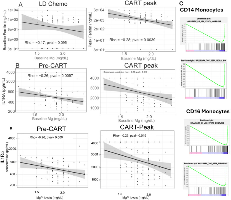 Hypomagnesemia in lymphoma patients receiving CAR T therapy correlates with immune dysfunction and decreased survival.