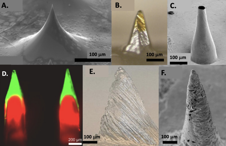 Recent advances and perspectives of MicroNeedles for biomedical applications.