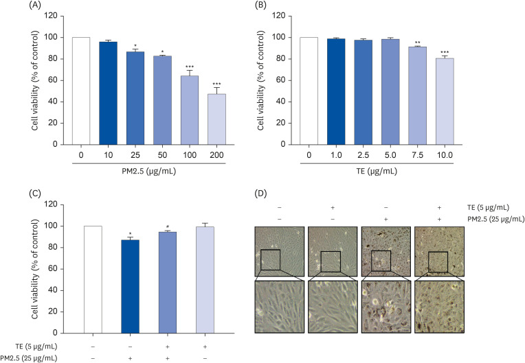 <i>Tagetes erecta</i> Linn flower extract inhibits particulate matter 2.5-promoted epithelial-mesenchymal transition by attenuating reactive oxygen species generation in human retinal pigment epithelial ARPE-19 cells.
