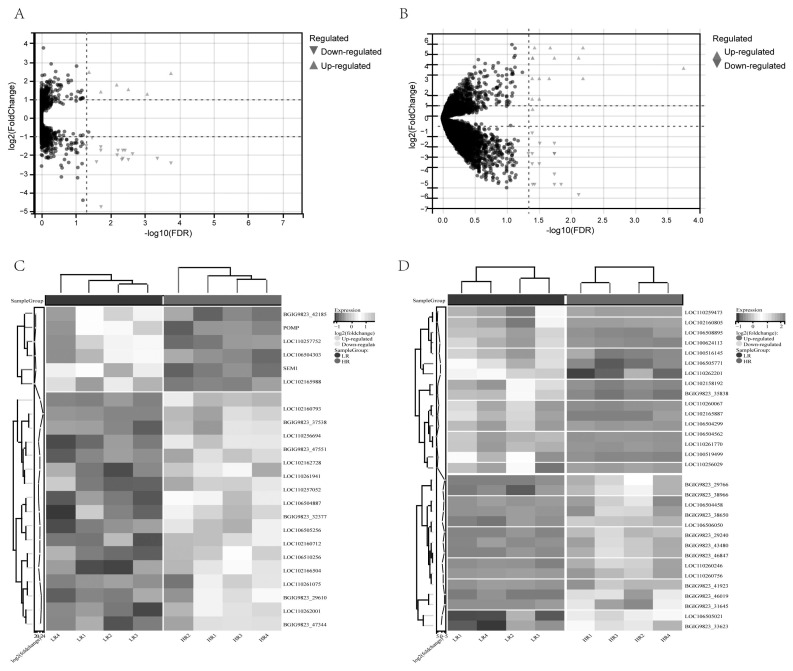 Transcriptome analysis of liver and ileum reveals potential regulation of long non-coding RNA in pigs with divergent feed efficiency.