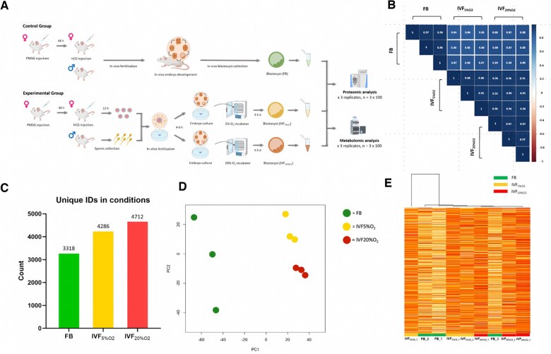 Proteomic and metabolomic insights into oxidative stress response activation in mouse embryos generated by <i>in vitro</i> fertilization.