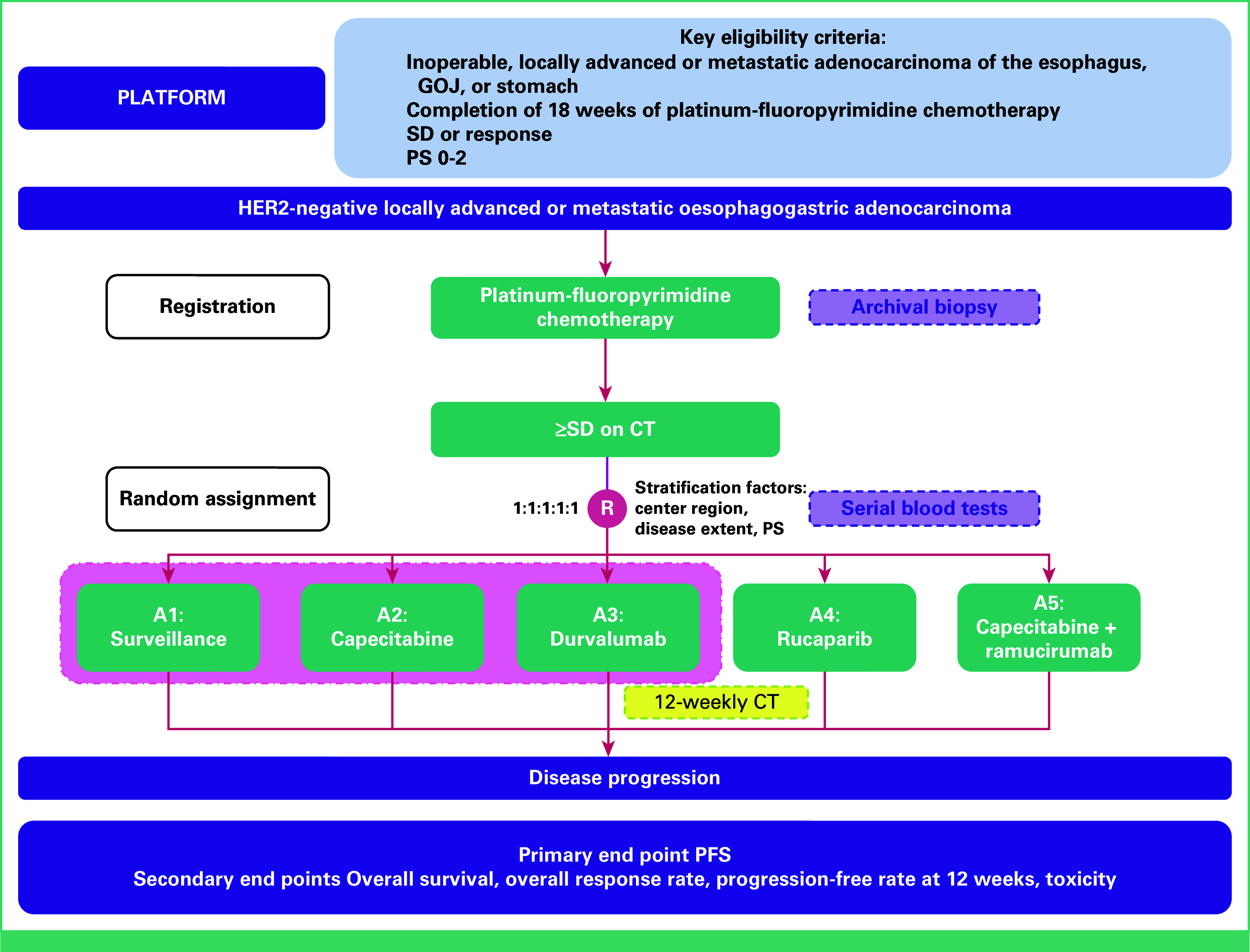 Maintenance Capecitabine Plus Ramucirumab After First-Line Chemotherapy in Patients With Advanced Esophagogastric Adenocarcinoma: Results From the Randomized PLATFORM Study.