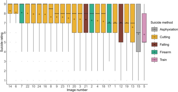 Examining the Construct Validity of Experimental Suicide Images Among Young Adults.