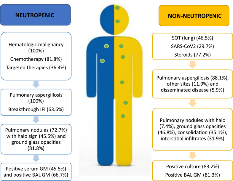 Is neutropenia still the main risk factor for invasive aspergillosis? A contemporary university hospital retrospective cohort of invasive aspergillosis in neutropenic and non-neutropenic patients.