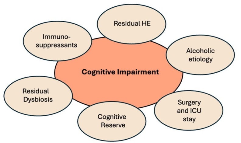 Hepatic encephalopathy as an indication or contraindication to liver transplant?