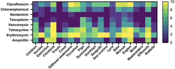 Comparative analysis of antibiotic resistance and biofilm formation in <i>Enterococcus</i> spp. across One Health domains.